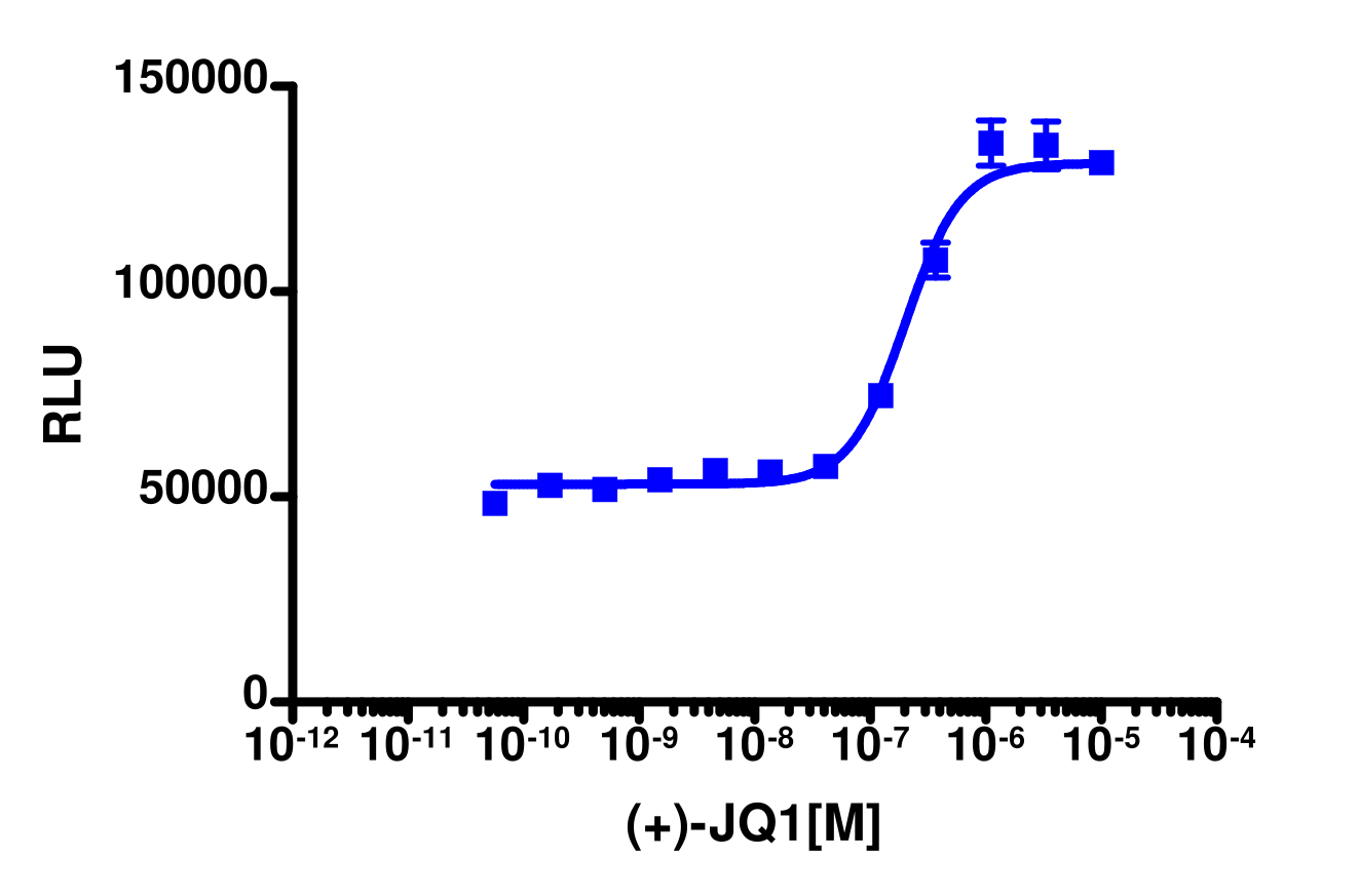 InCELL Hunter™ Human BRD3(1) Bromodomain Stable Cell Line Target Engagement Assay (HEK 293)