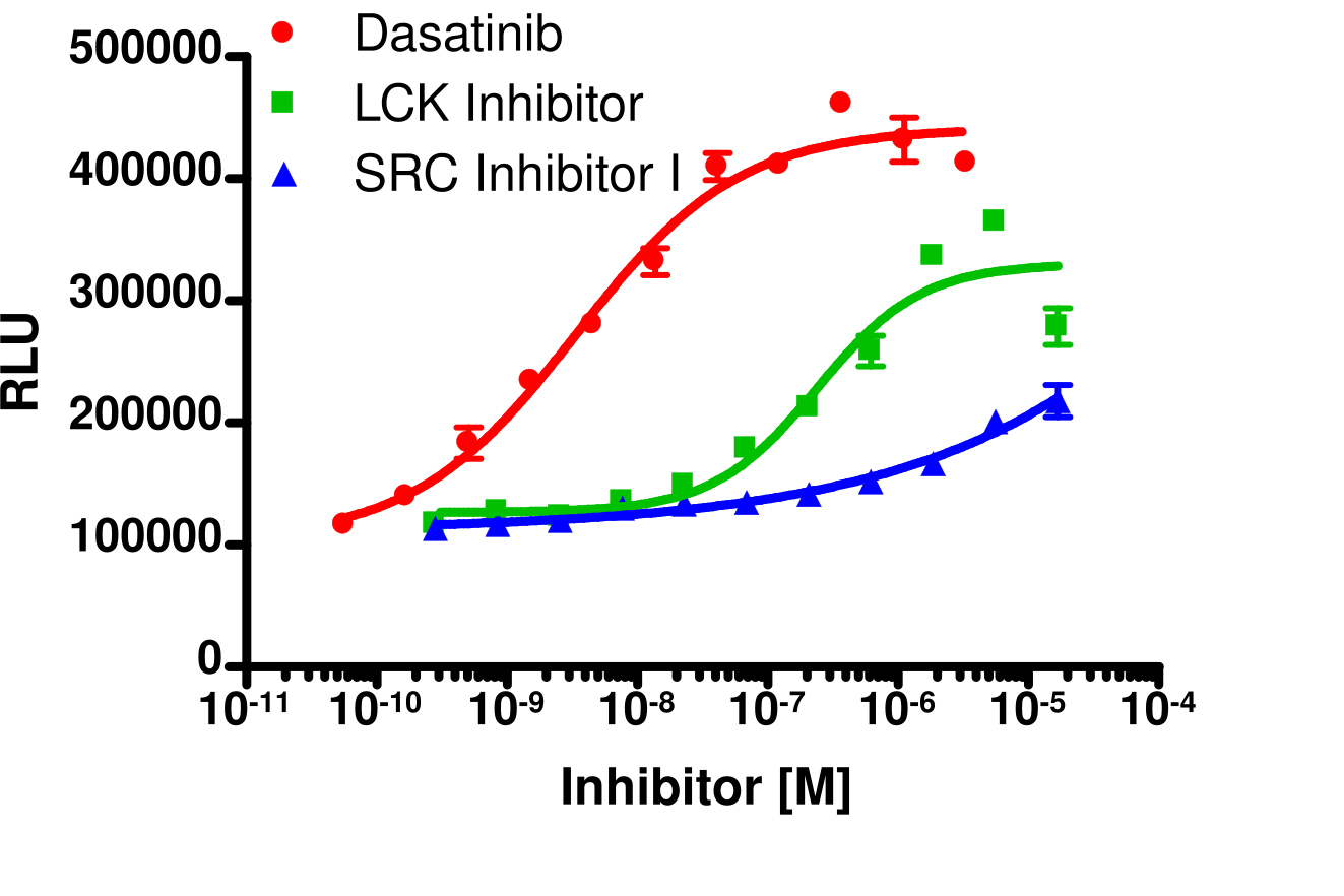 InCELL Hunter™ Human HCK Stable Cell Line Target Engagement Assay (U2OS)