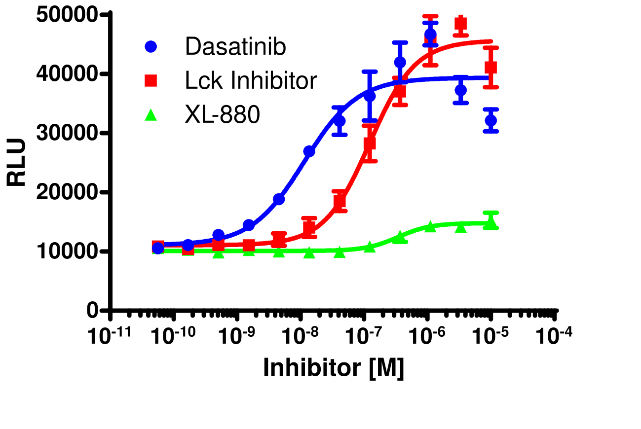 InCELL Hunter™ Human FGR Kinase Target Engagement Cell-Based Assay Kit (HEK 293)
