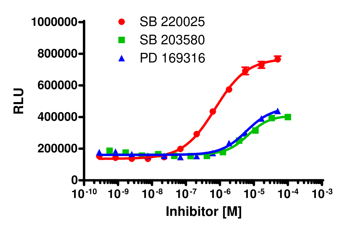 InCELL Hunter™ Human CSNK1D Stable Cell Line Target Engagement Assay (A549)
