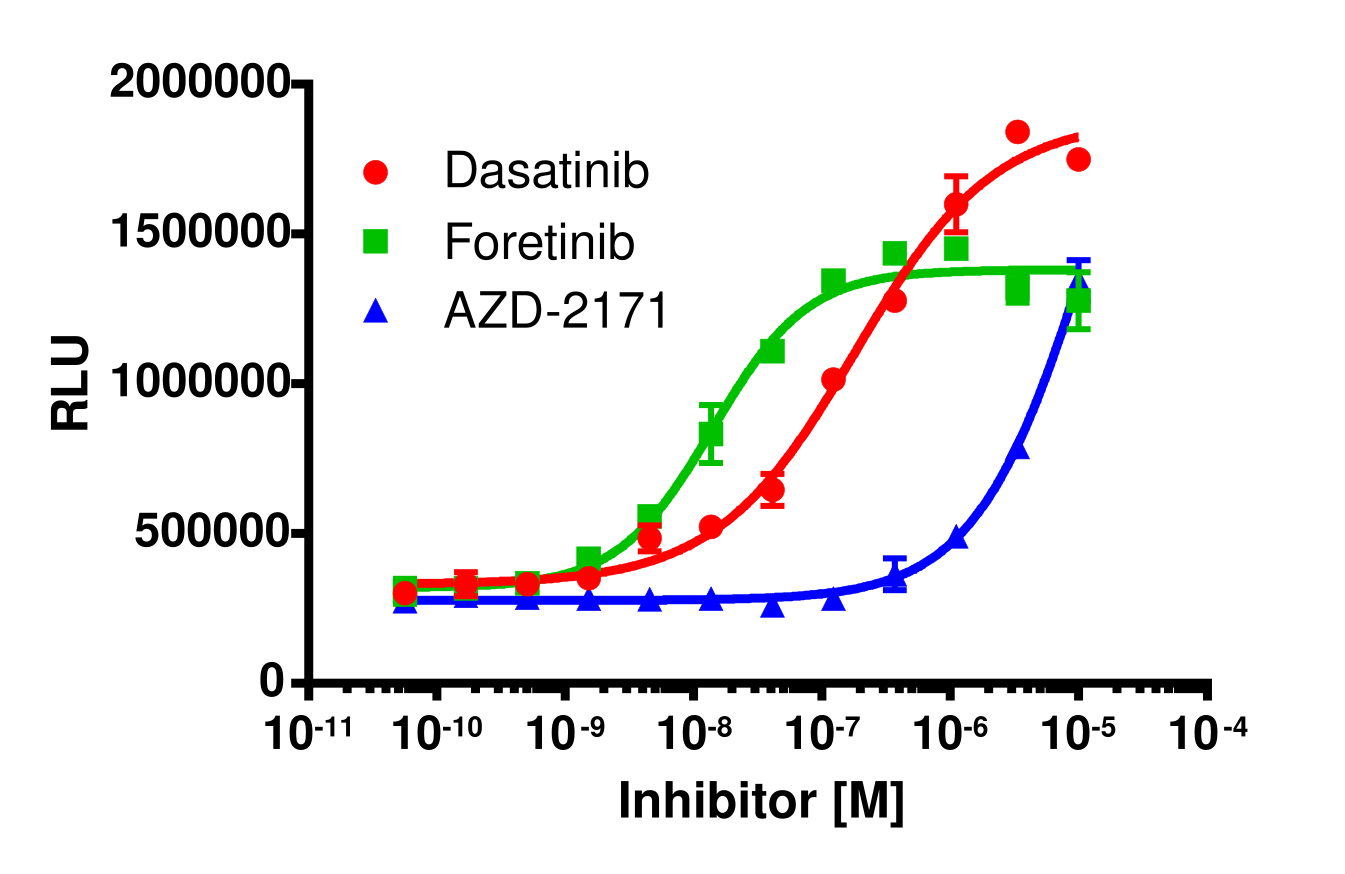 InCELL Hunter™ Human RIPK2 Stable Cell Line Target Engagement Assay (HEK 293)
