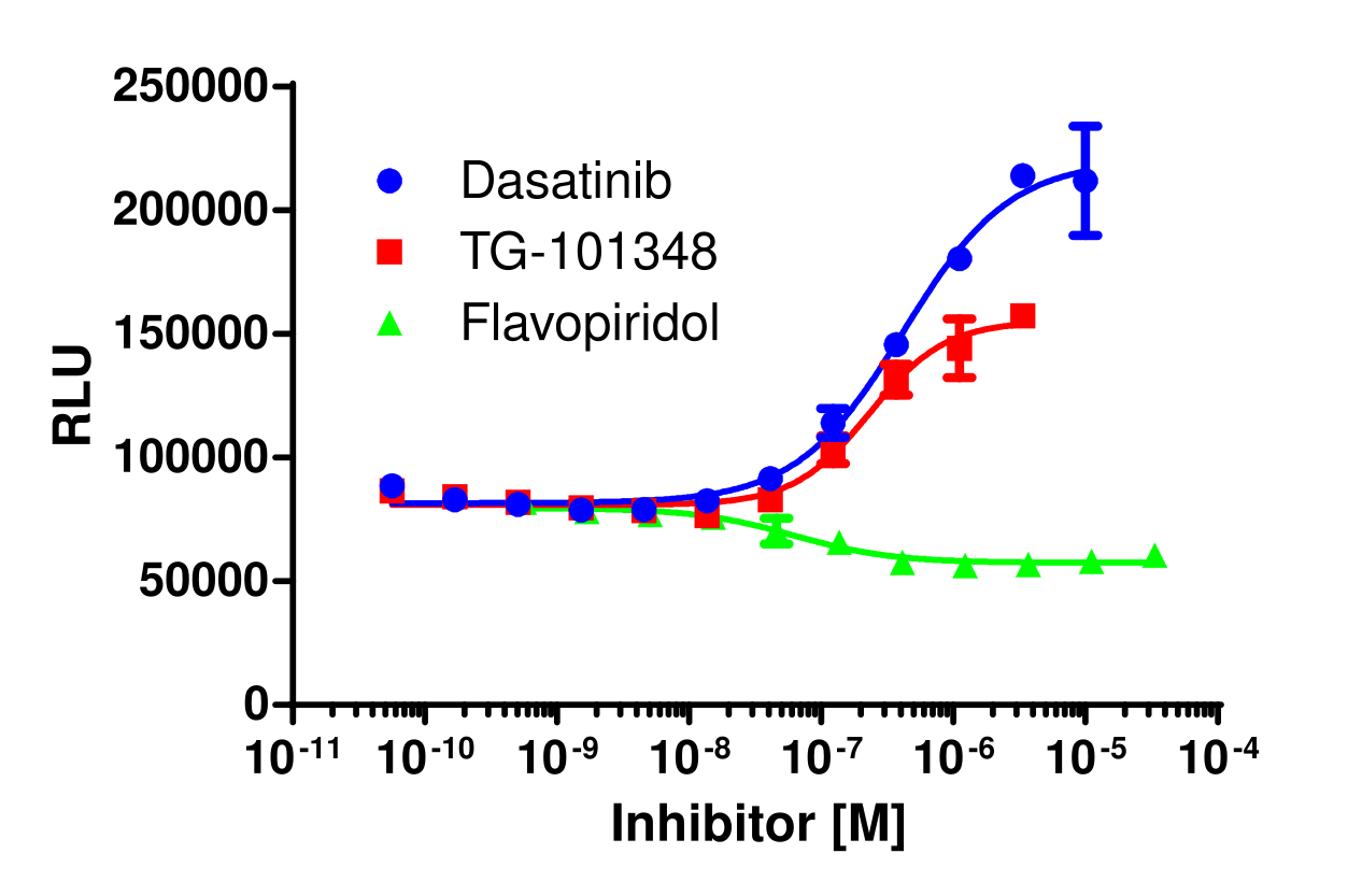 InCELL Hunter™ Human SIK1 Stable Cell Line Target Engagement Assay (A549)