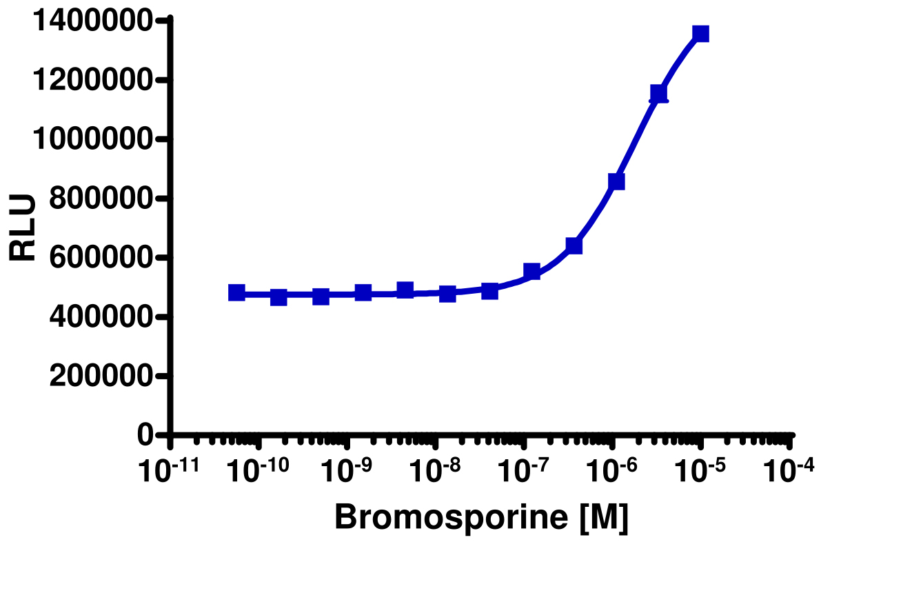 InCELL Hunter™ Human TAF1L(2) Bromodomain Target Engagement Cell-Based Assay Kit (HEK 293)