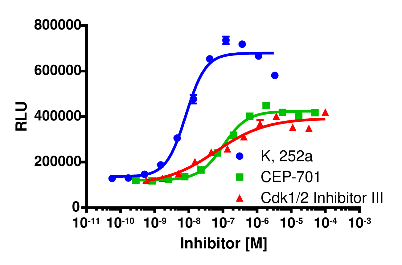 InCELL Hunter™ Human CLK1 Stable Cell Line Target Engagement Assay (HEK 293)