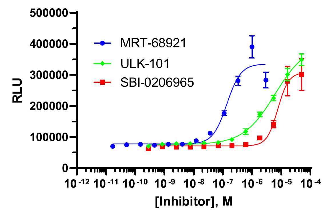 InCELL Hunter™ Human ULK1 Stable Cell Line Target Engagement Assay (HEK293)