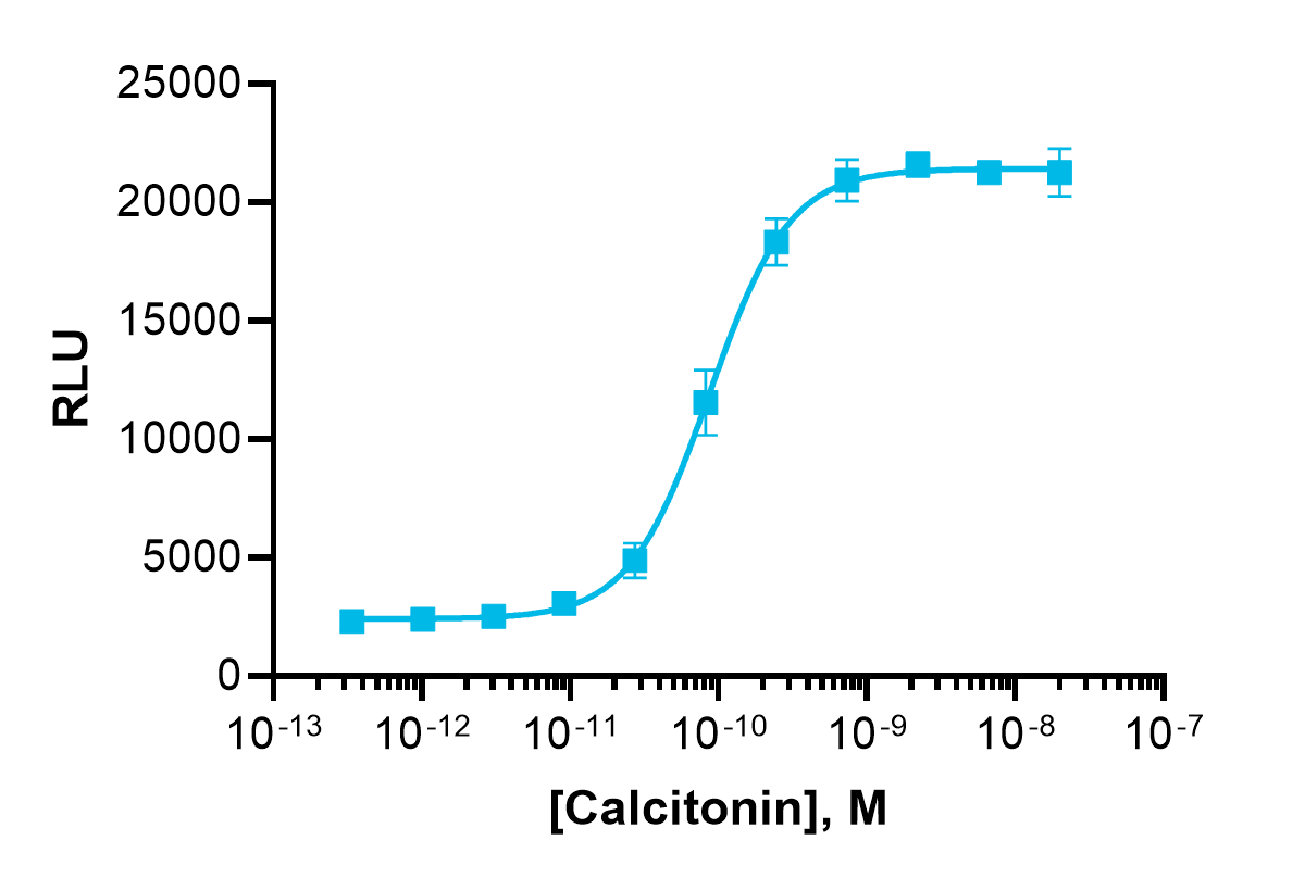 cAMP Hunter™ Human CALCR Gs Cell-Based Assay Kit (CHO-K1)