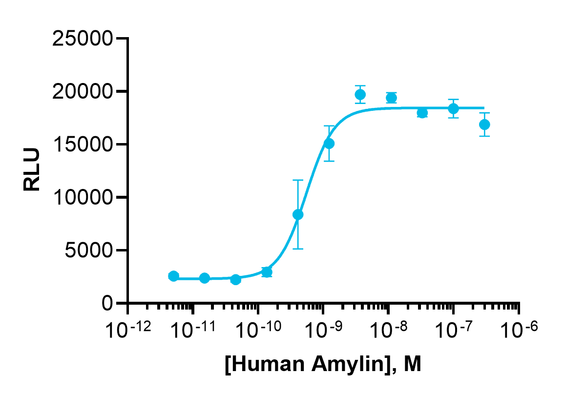 cAMP Hunter™ Human Amylin (AMY3 Receptor) Gs Stable Cell Line Assay (CHO-K1)