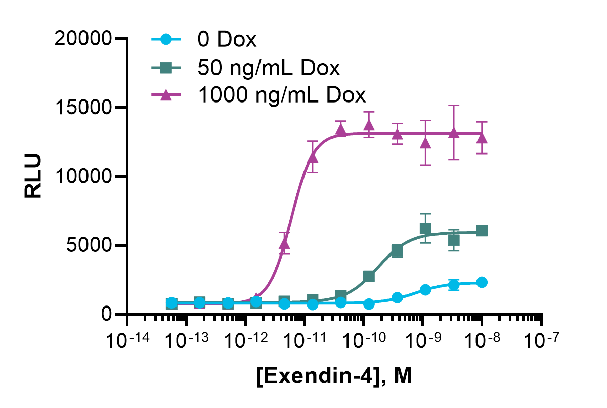 cAMP Hunter™ eXpress Inducible Human GLP1R Gs Assay (CHO-K1)