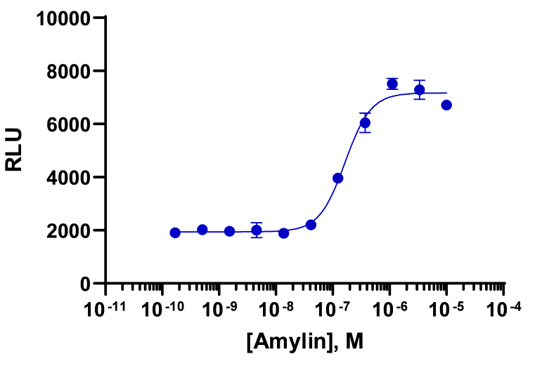 PathHunter® CHO-K1 CALCR-RAMP3 (AMY3) β-Arrestin Cell Line