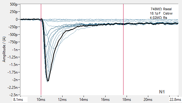 PrecisION™ hNav1.1 Recombinant Stable Cell Line