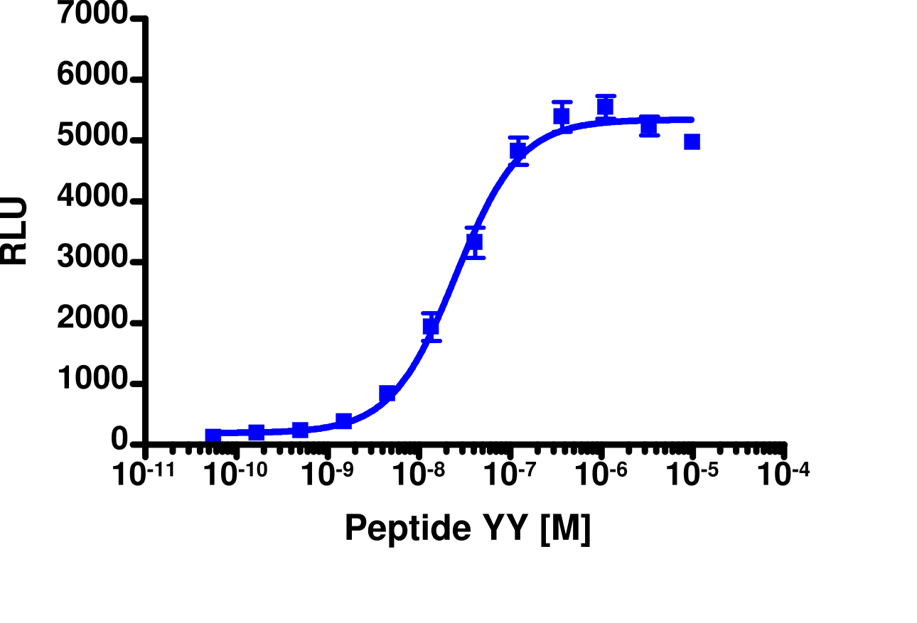 PathHunter® CHO-K1 mNPY2R β-Arrestin Cell Line
