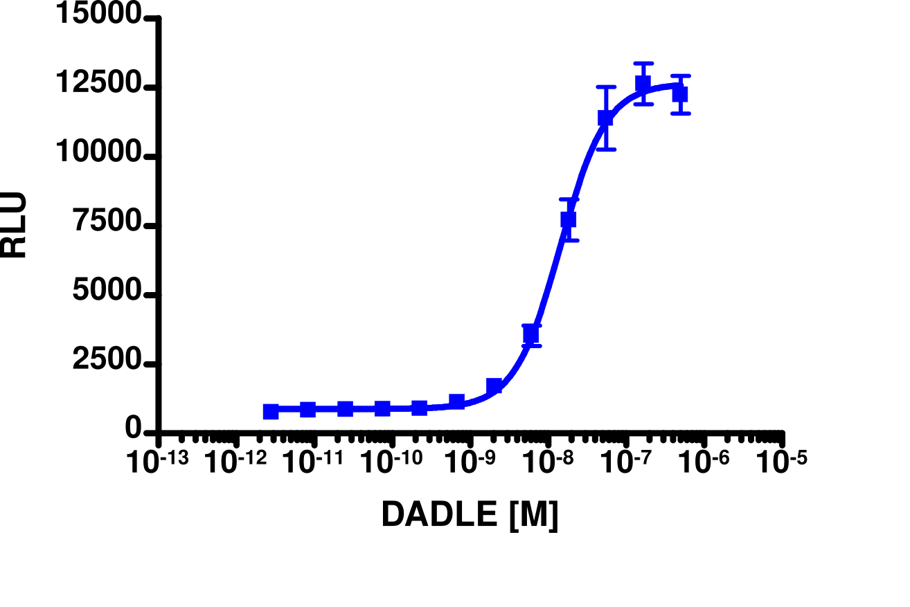 PathHunter® CHO-K1 mOPRD1 β-Arrestin Cell Line