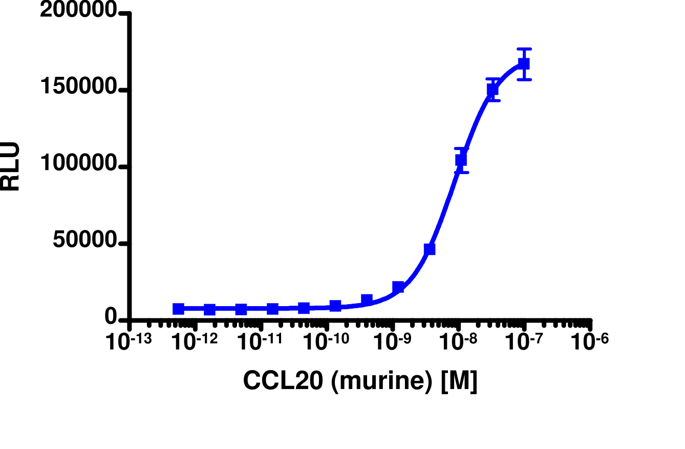 PathHunter® CHO-K1 mCCR6 β-Arrestin Cell Line