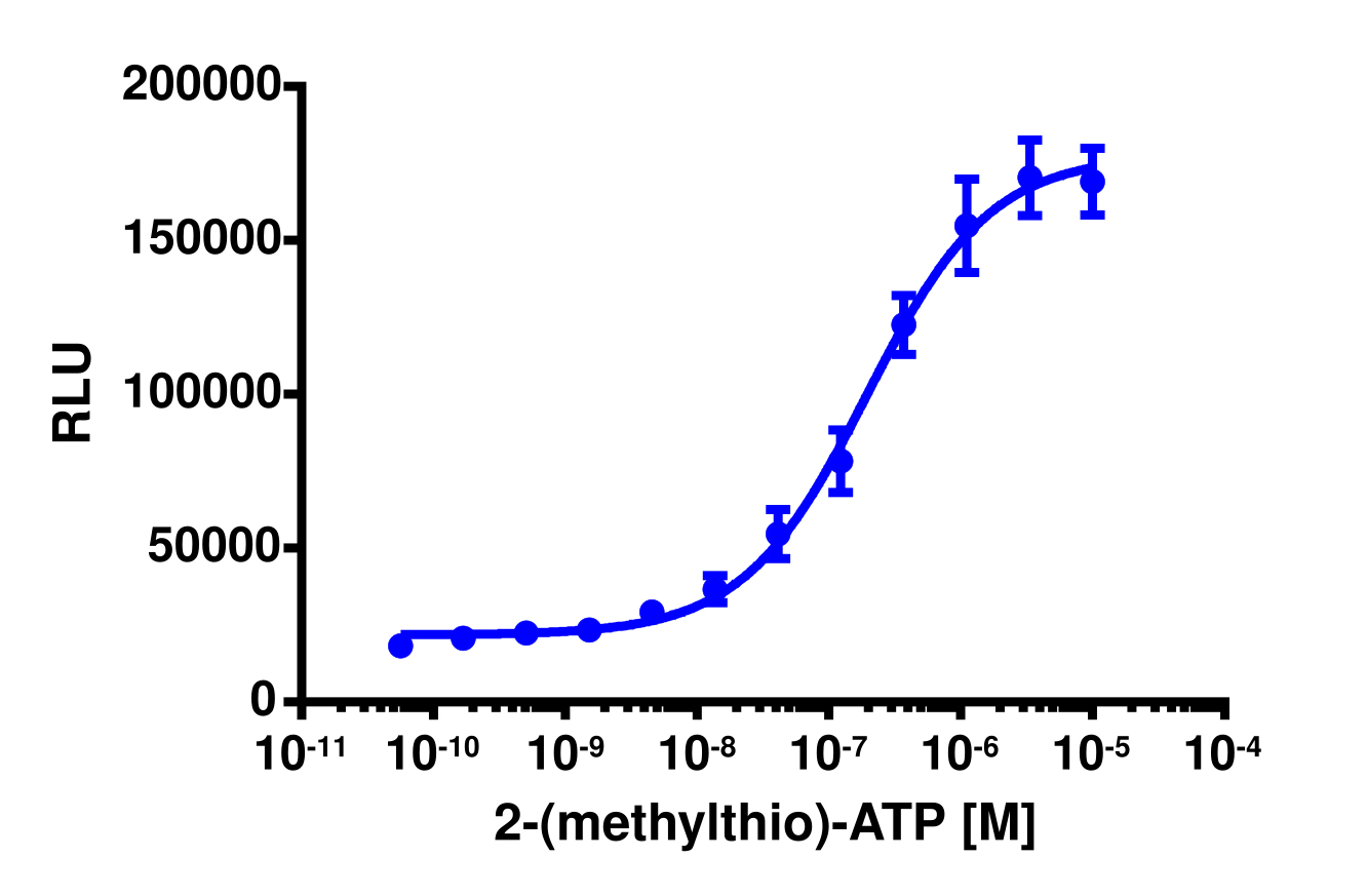 PathHunter® U2OS P2RY1 β-Arrestin Cell Line