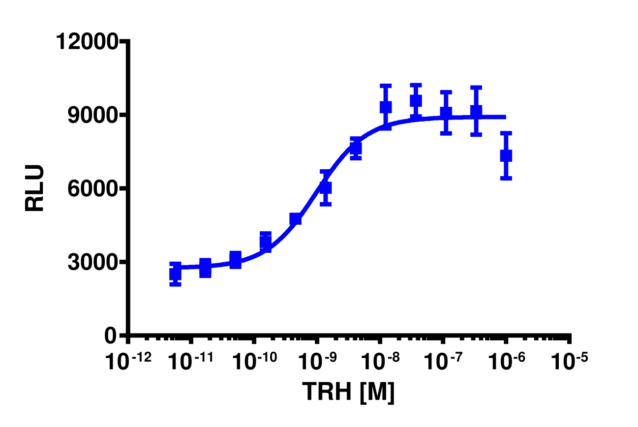 PathHunter® TRHR Total GPCR Internalization U2OS Cell Line